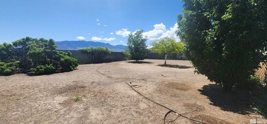 69 Jasper Ln, Dayton, NV 89403 - photo 5