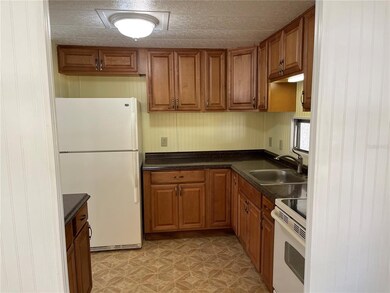 6123 Ridgewood Dr, Zephyrhills, FL 33542 - photo 6