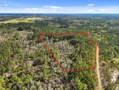 00 SE 51st Way, Trenton, FL 32693 - photo 7