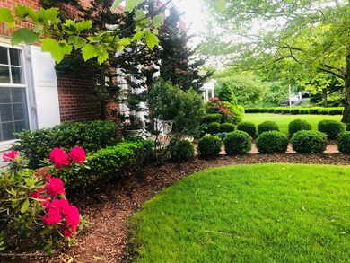 Rhod_2 - Copy