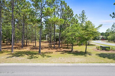 6452 Castlebrook Way SW, Ocean Isle Beach, NC 28469 - photo 7