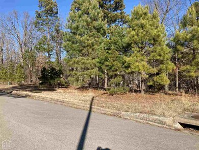 0 N 75th St unit 10090997, Paragould, AR 72450 - photo 3