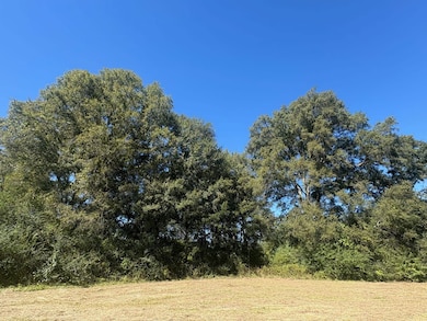 Sanderson Ln, Courtland, AL 35618 - photo 6