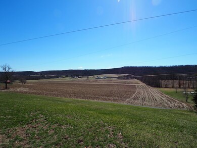 729 Golf Rd, Tamaqua, PA 18252 - photo 4