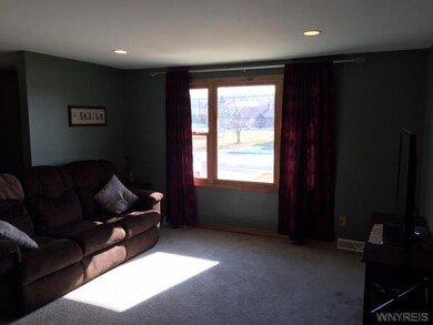 Living Room Newer Carpet
