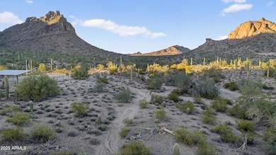 0 None -- unit 6953315, San Tan Valley, AZ 85144 - photo 6