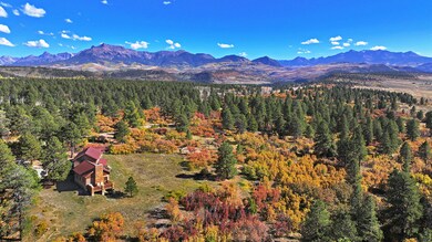 1250 McKenzie Springs Rd, Placerville, CO 81430 - photo 2