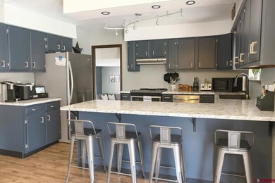 20812 Vista Grande Dr, Austin, CO 81410 - photo 7