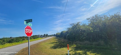 Xxx Fawn Trail St, Palm Bay, FL 32909 - photo 3