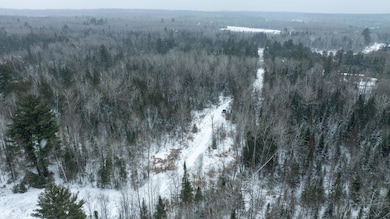 1570 Ryno Rd, Luzerne, MI 48636 - photo 6