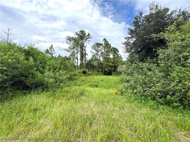 600 Lynn Ct, Lake Placid, FL 33852 - photo 5