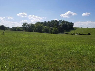 Lot 42 Tabor Rd, Greeneville, TN 37743 - photo 5