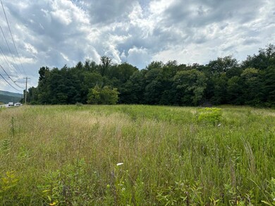 PARCEL 2 Bob White Blvd, Pulaski, VA 24301 - photo 4