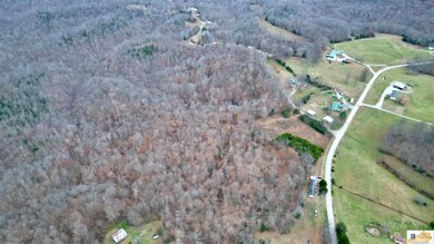 36 Scott Ridge Rd, Edmonton, KY 42129 - photo 4