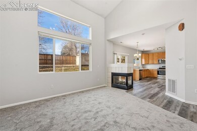 724 Prairie Star Cir, Colorado Springs, CO 80916 - photo 5