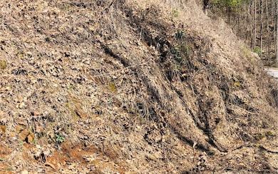 Additional View
