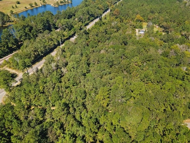 8715 Massey Lake Rd, Silsbee, TX 77656 - photo 2