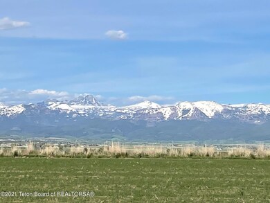 IMG_1501