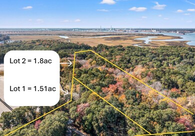 0 Yellow House Lot 1 Place unit 25031111, Charleston, SC 29492 - photo 6