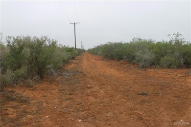 8993 N Cr 101 Rd N, San Diego, TX 78384 - photo 7