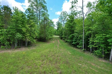 460 Cherokee Path, Jasper, TN 37374 - photo 6