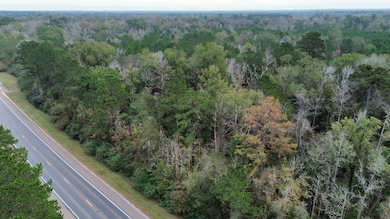 11948 Highway 190, Bon Wier, TX 75928 - photo 3