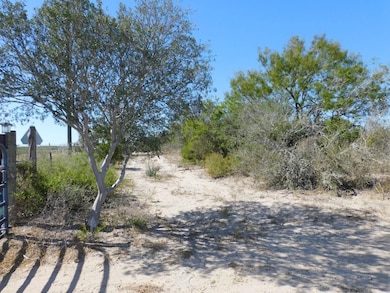 653 S U S Hwy 59, Georgewest, TX 78022 - photo 3