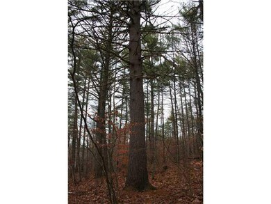 Land/Lot. Interior view
