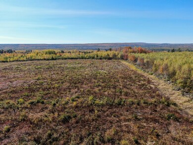 M4 L25-1 Smith Ridge Rd, Charlotte, ME 04666 - photo 5