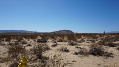 DSC00258