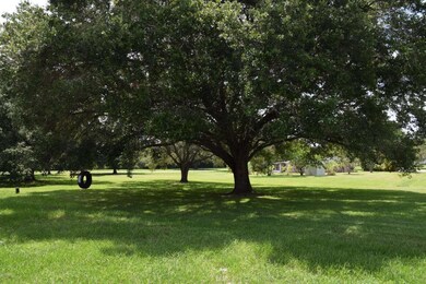 Large Back Yard
