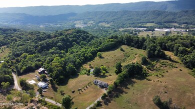 dji_fly_20240711_174938_551_172073466225