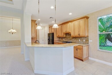 12796 Aviano Dr, Naples, FL 34105 - photo 7