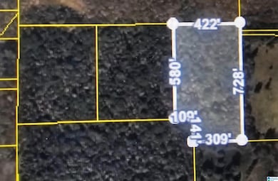 lots 2, 3, 4 Dove Dr, Odenville, AL 35120 - photo 4