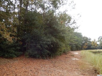 735 Kings River Rd, Pawleys Island, SC 29585 - photo 3