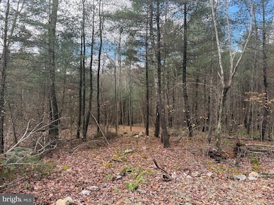 Lot#25 Brooke Trout Dr, Wardensville, WV 26851 - photo 4