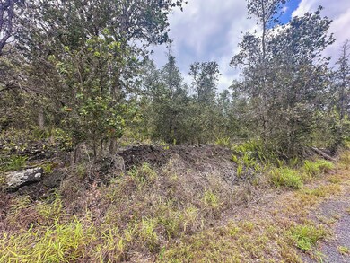 92-9130 Tree Fern Ln, Ocean View, HI 96737 - photo 6