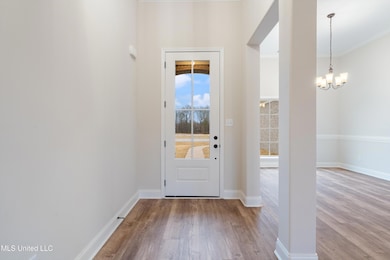 748 Lucas Ln, Hernando, MS 38632 - photo 4