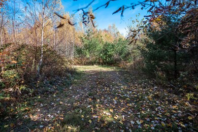 Driveway continued