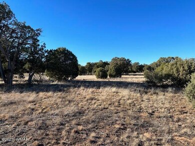 13 Lone Pine Dam Rd, Show Low, AZ 85901 - photo 3