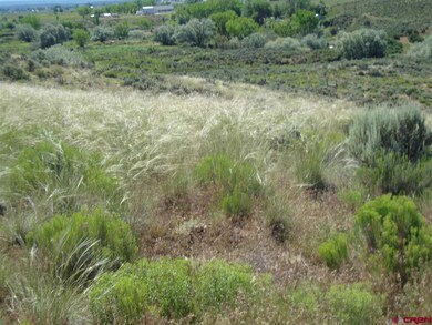 0 Road 24 6 unit 707703, Cortez, CO 81321 - photo 4