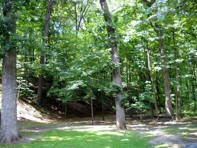 Summertime photo of vacant parcel