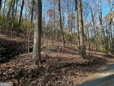 308 Rhododendron Ln, Sautee Nacoochee, GA 30571 - photo 3