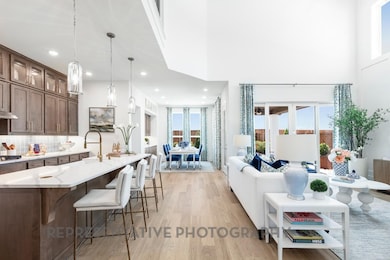 4233 Palomino Rd, Aubrey, TX 76227 - photo 3