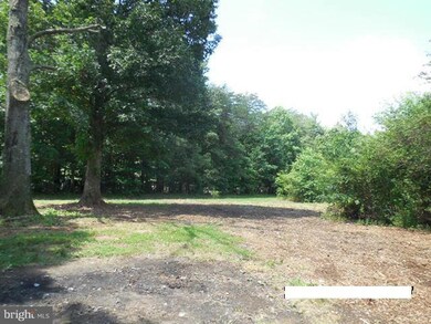 5516 Burr Hill Rd, Rhoadesville, VA 22542 - photo 6