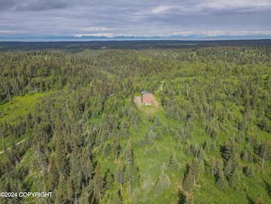 000 Stag Stream Ln, Nikolaevsk, AK 99556 - photo 6