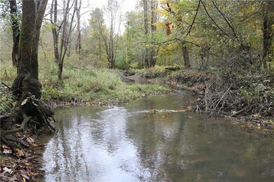 0 N Richmond Rd, Pierpont, OH 44082 - photo 4