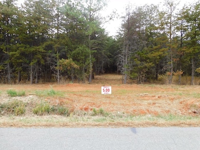 5 (P4) Brights Rd, Gretna, VA 24557 - photo 2