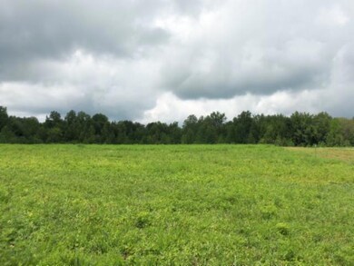 5 18 Acres Baxter Rd Lot 3, Baxter, TN 38544 - photo 7
