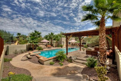 Backyard Paradise!